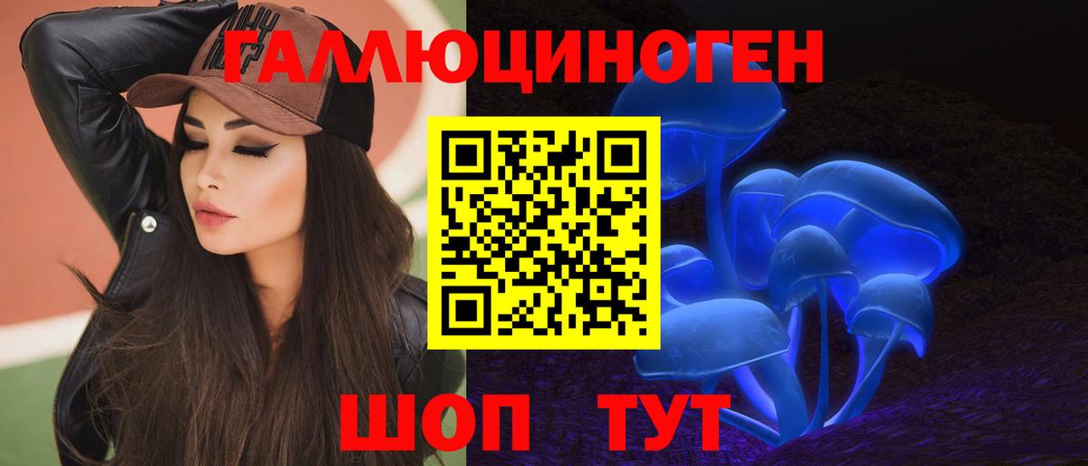 Псилоцибиновые грибы GOLDEN TEACHER  Вход с VPN  Дзержинский  Псилоцибиновые грибы ЛСД 